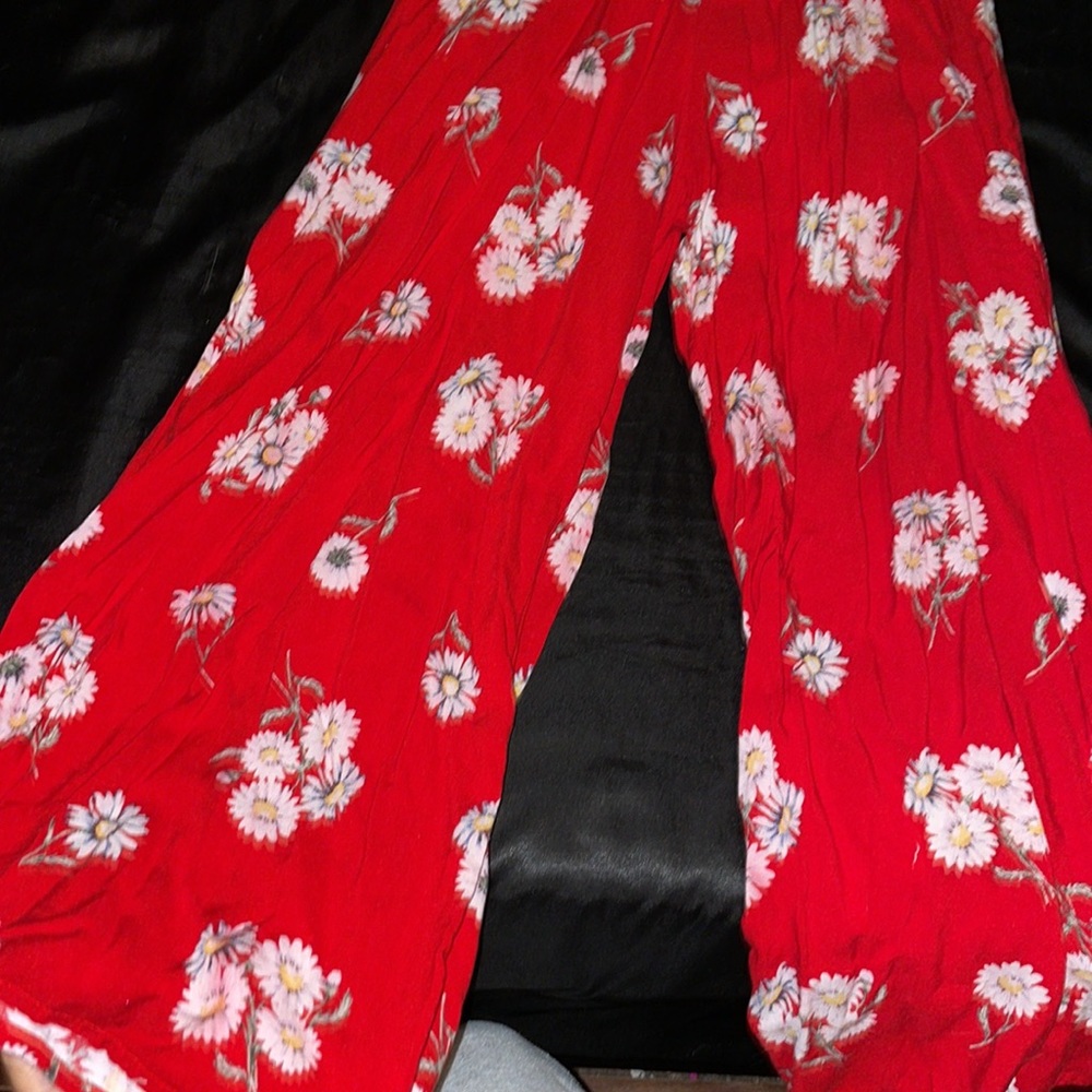 ℛℯ𝒹 𝒹𝒶𝒾𝓈𝓎 𝒿𝓊𝓂𝓅𝓈𝓊𝒾𝓉! - Picture 3 of 3